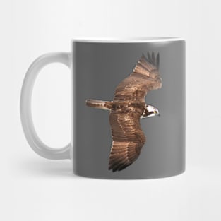 Osprey Mug